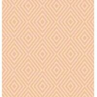  DAKI aprikot  40x40/30 ks  Spanlin, Mank