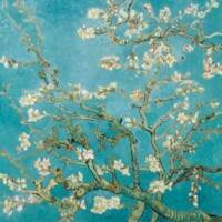 ALMOND BLOSSOM, Ambiente
