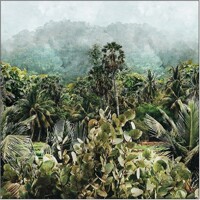 RAIN FORREST, Ambiente