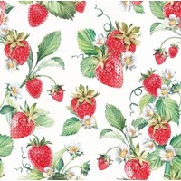 25x25 GARDEN STRAWBERRIES, Ambiente