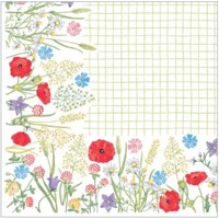 SUSANNE 40x40 Linclass,  Mank
