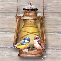 BIRDS ON LAMP, Ambiente