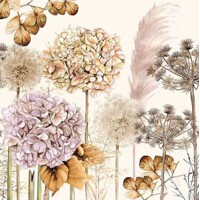 DRIED FLOWERS 33x33, Ambiente