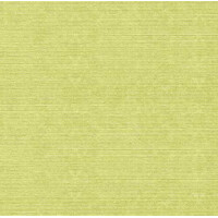 DEAN oliv 40x40/30 Spanlin BIO !, Mank