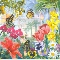 MAINAU 33x33 , Sweet Pac