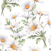BEAUTIFUL DAISIES white 33x33, Ambiente
