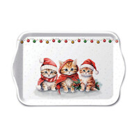 FUNNY CUTE KITTENS 13x21, Ambiente