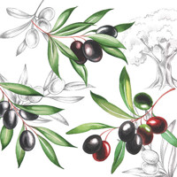OLIVES, Ambiente