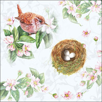 WATCHING NEST, Ambiente