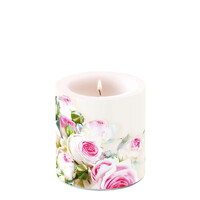  MAXIMA cream , Ambiente