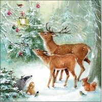 FOREST CELEBRATION, Ambiente