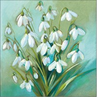 SNOWDROPS IN WINTER,  Ambiente