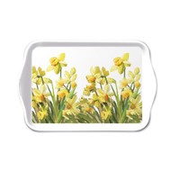 GOLDEN DAFFODILS, Ambiente