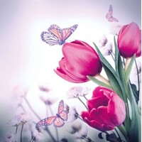 BUTTERFLY & TULIPS, Ambiente