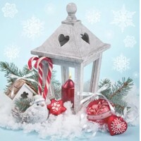 XMAS LANTERN ON SNOW, Daisy