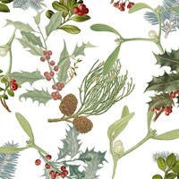  WINTER FEELING, Ambiente