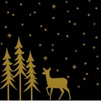  LIANE schwarz 40x40 Linclass, Mank 