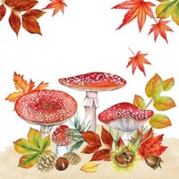 FLY AGARIC GROUP, Ambiente
