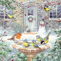 JOY BATH servítky kusové, Ambiente