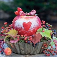 SNOW DUSTED APPLE 33x33,  Ambiente