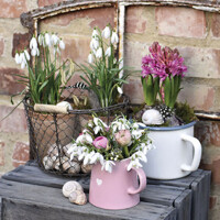 WINTER FLOWERS, Ambiente