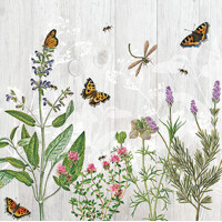 HERB GARDEN, Ambiente