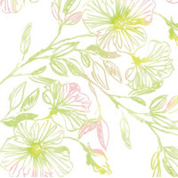 KELANI 40x40 Linclass,  Mank