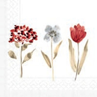 SELMA Herbs 33x33, Mank