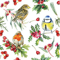 BIRDS IN WINTER, Ambiente