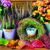 Autmn Feeling, Ambiente