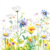 BEAUTIFULL FLOWER MEADOW 33x33, Daisy