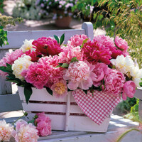 PEONIES IN BASKET, Ambiente