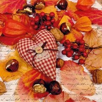 AUTUMN HEART, Ambiente