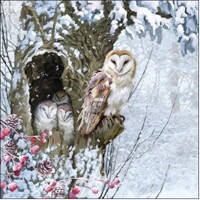  BARN OWL, Ambiente