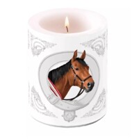 CLASSIC HORSE, Ambiente