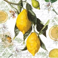  LEMON, Ambiente