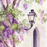 LANTERN AMONG WISTERIA BLOOM, Ti-Flair