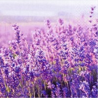  FIELD OF LAVENDER, Home Fashion