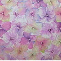 PINK HYDRANGEA PATTERN, Daisy