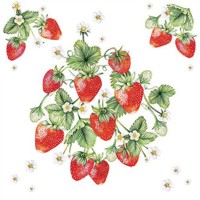 BUNCH OF STRAWBERRIES, Ambiente