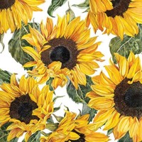 SUNFLOWERS BLOOSSOMING 33x33, Ambiente