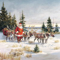 SANTA WITH HIS REINDEERS 33x33, Ambiente