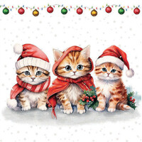 FUNNY CUTE KITTENS 33x33, Ambiente