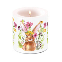 GIRL BUNNY, Ambiente