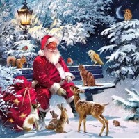 SANTA ON BENCH 33x33, Ambiente