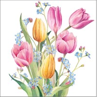  TULIPS BOUQUET 25x25, Ambiente