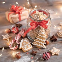 CHRISTMAS COOKIES JAR 33x33, Ambiente