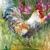 AQUARELL ROOSTER, Ambiente