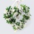  WHITE FLOWER HEART, Ambiente