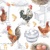 CHICKEN FARM, Ambiente